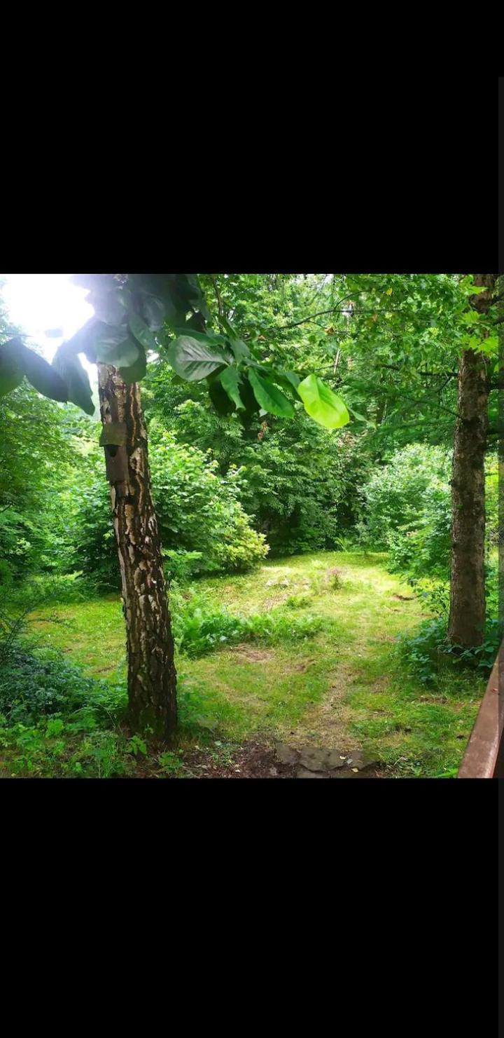 W Gorach Holiday home